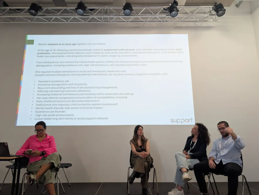 Exposició de Support-Girona durant les sessions de treball del Projecte FRIDA