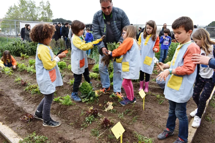 En marxa “Aprendre a l’hort de l’escola”, un projecte pedagògic i d’inclusió social