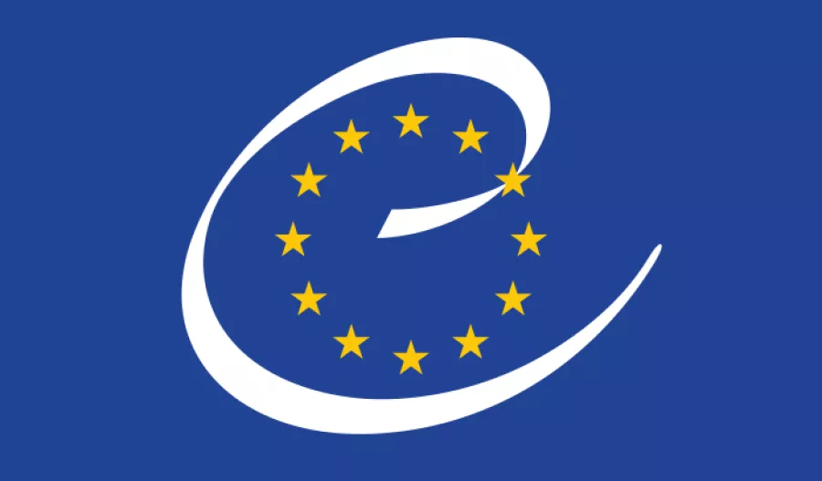Audiència pública del Consell d'Europa centrada en la desinstitucionalització de les persones amb discapacitat